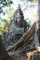 Day 12 - Cambodia - Angkor Wat 272
